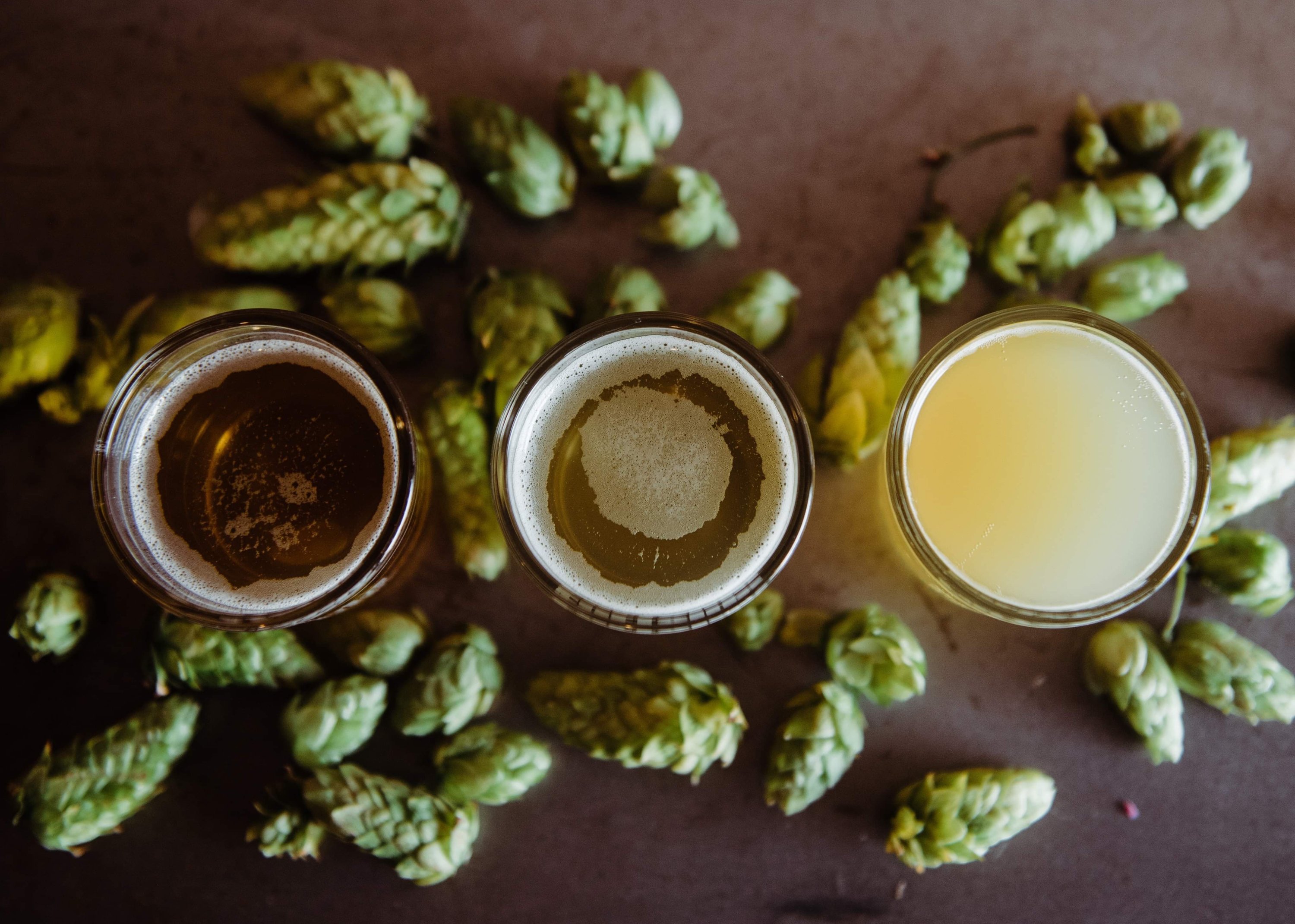 IPA beer

Photo by Missy Fant on Unsplash